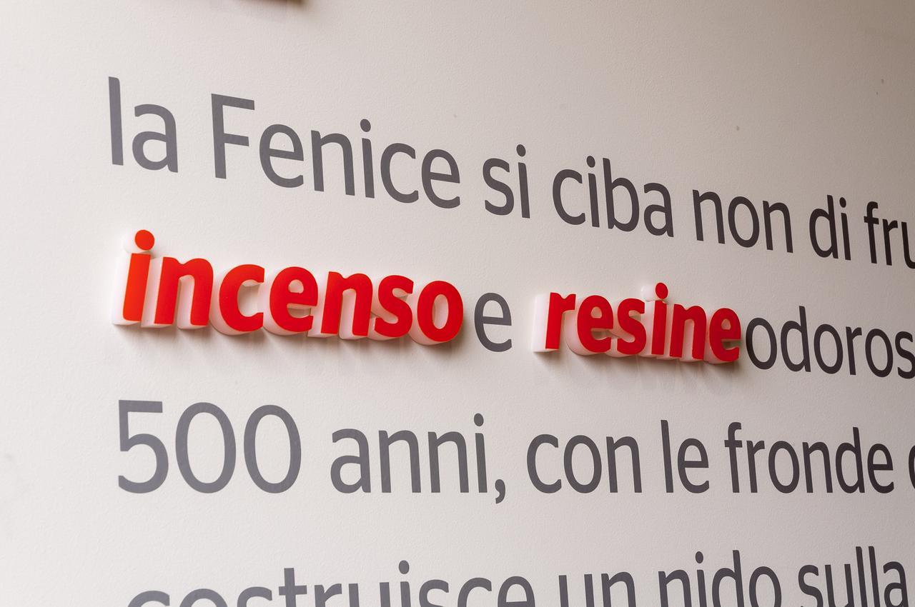 Villa Fenix 奥西奥索托 外观 照片